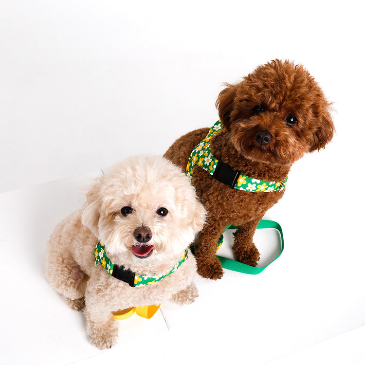 NORADOG Picnic Easy Harness