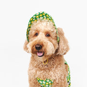 NORADOG Picnic Bucket Hat