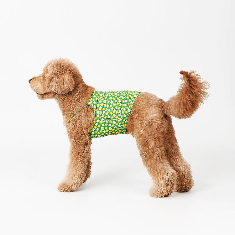NORADOG Picnic Cool Wear