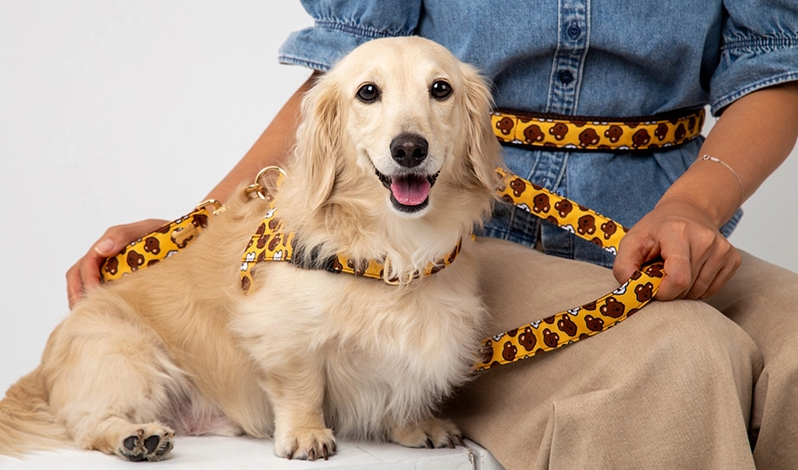 NORADOG BoBo & ChuChu Belt Leash