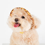 NORADOG BoBo & ChuChu Bucket Hat