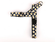NORADOG Daisy Easy Harness