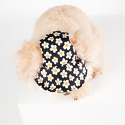 NORADOG Daisy Bucket Hat