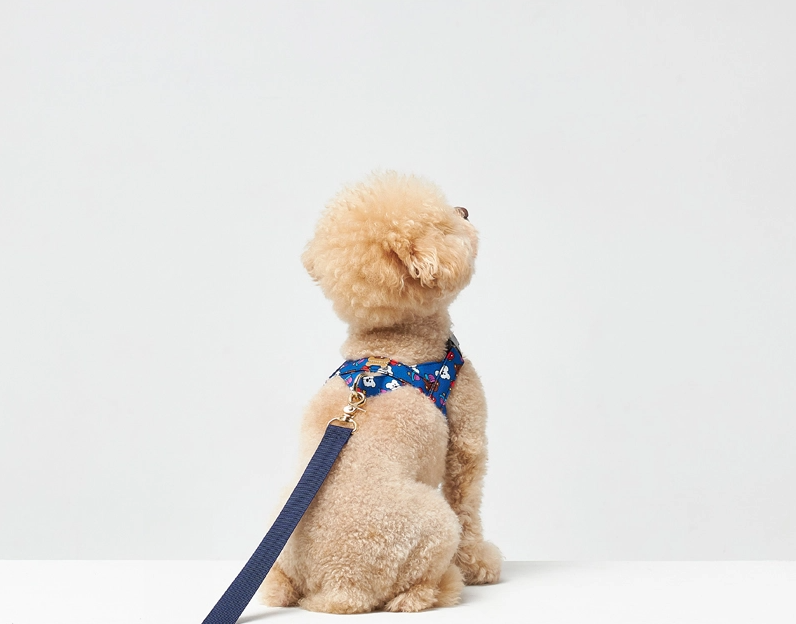 NORADOG WooZoo Easy Harness
