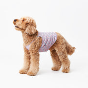 NORADOG HARU Cool Wear