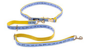 Hands Free Leash