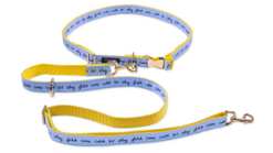 Hands Free Leash