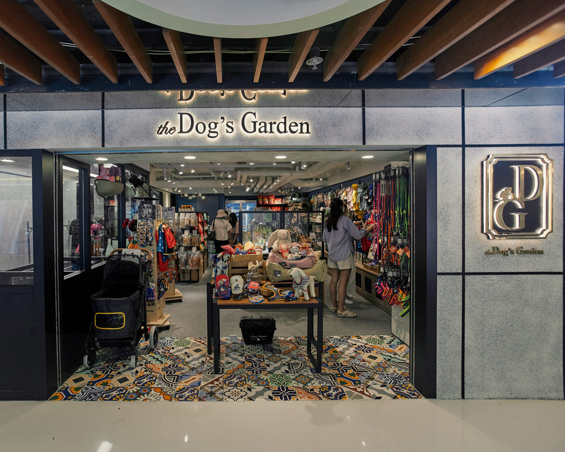 The Dog's Garden pet store entrance with a visible interior display of toys and accessories, a patterned carpet, and a person standing inside near the merchandise.