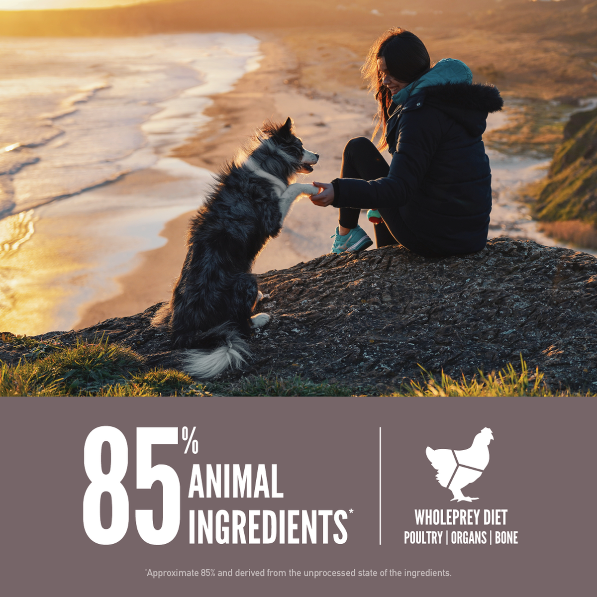 ORIJEN - Fit & Trim Dog Food
