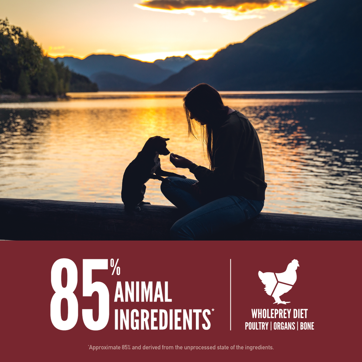 ORIJEN - Small Breed Puppy Dog Food