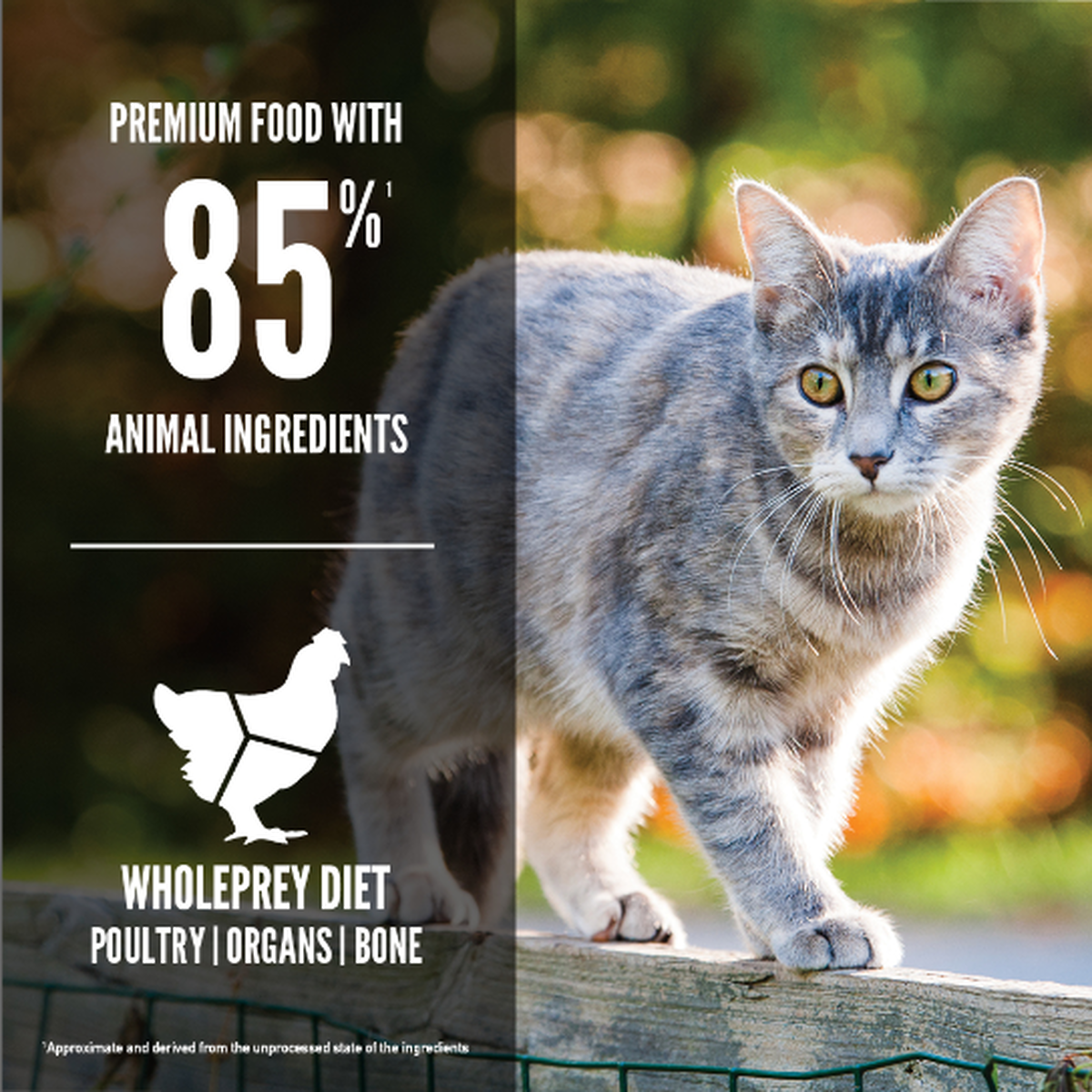 ORIJEN - Original Cat Dry Cat Food