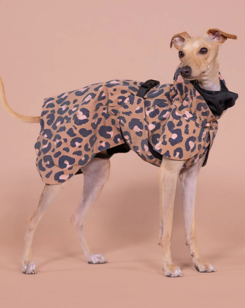 PAIKKA Visibility Raincoat Lite for Dogs - Leo