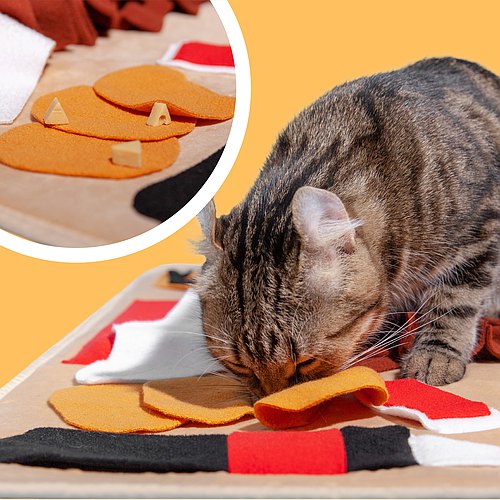 POOZPET High Calorie Meal Premium Snuffle Mat