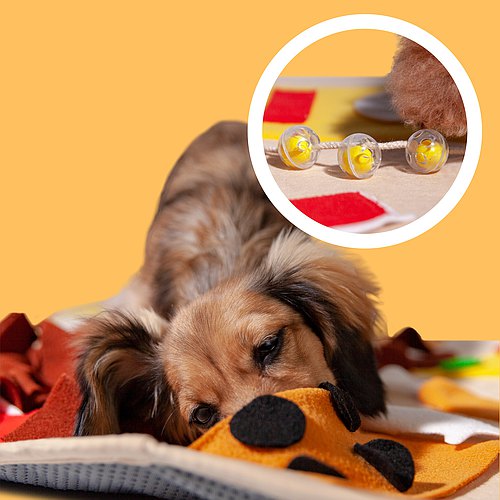 POOZPET High Calorie Meal Premium Snuffle Mat