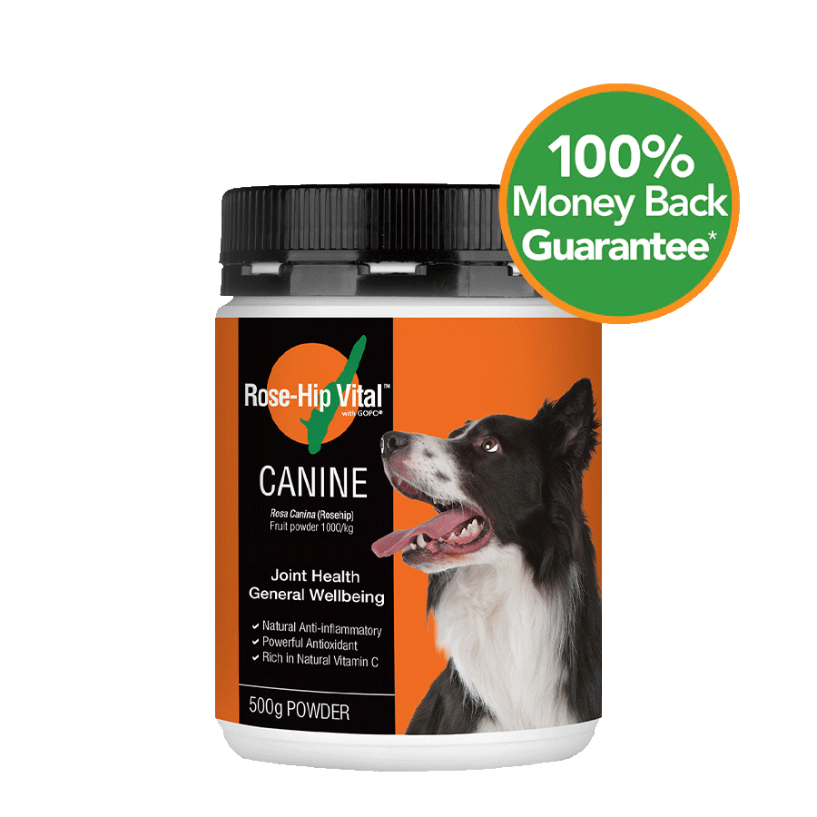 Rose-Hip Vital Canine 500g (Authorized merchant by Rose-Hip Vital)