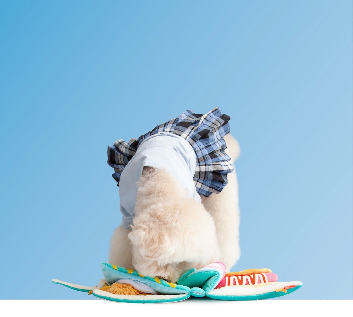POOZPET 712 Food Guide Snuffle Book
