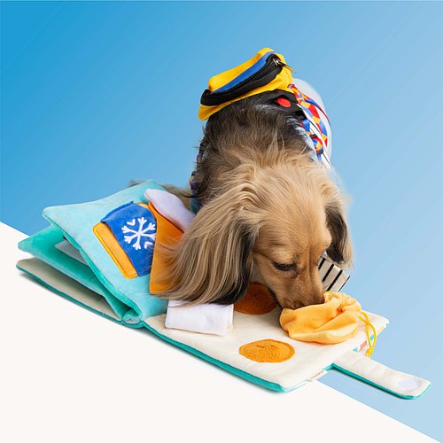 POOZPET 712 Food Guide Snuffle Book