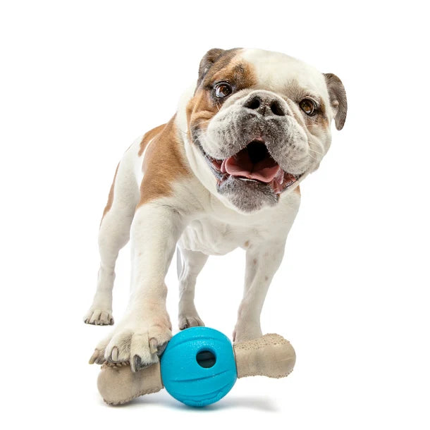 GURU Spin & Chew Bone 旋轉漏食咀嚼骨 (Medium)
