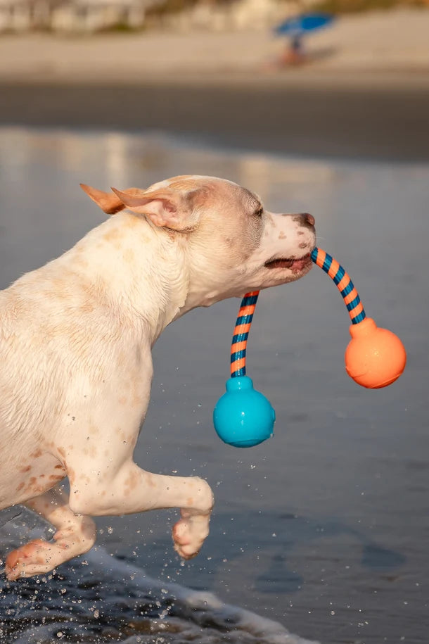 GURU Squeaking Rope 發聲互動繩玩具 (Medium)