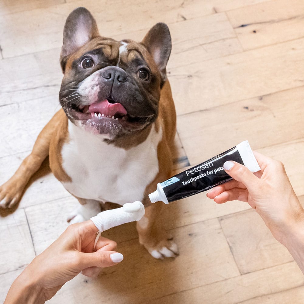 Petosan Anti-Tartar Pet Toothpaste (Poultry Flavor)