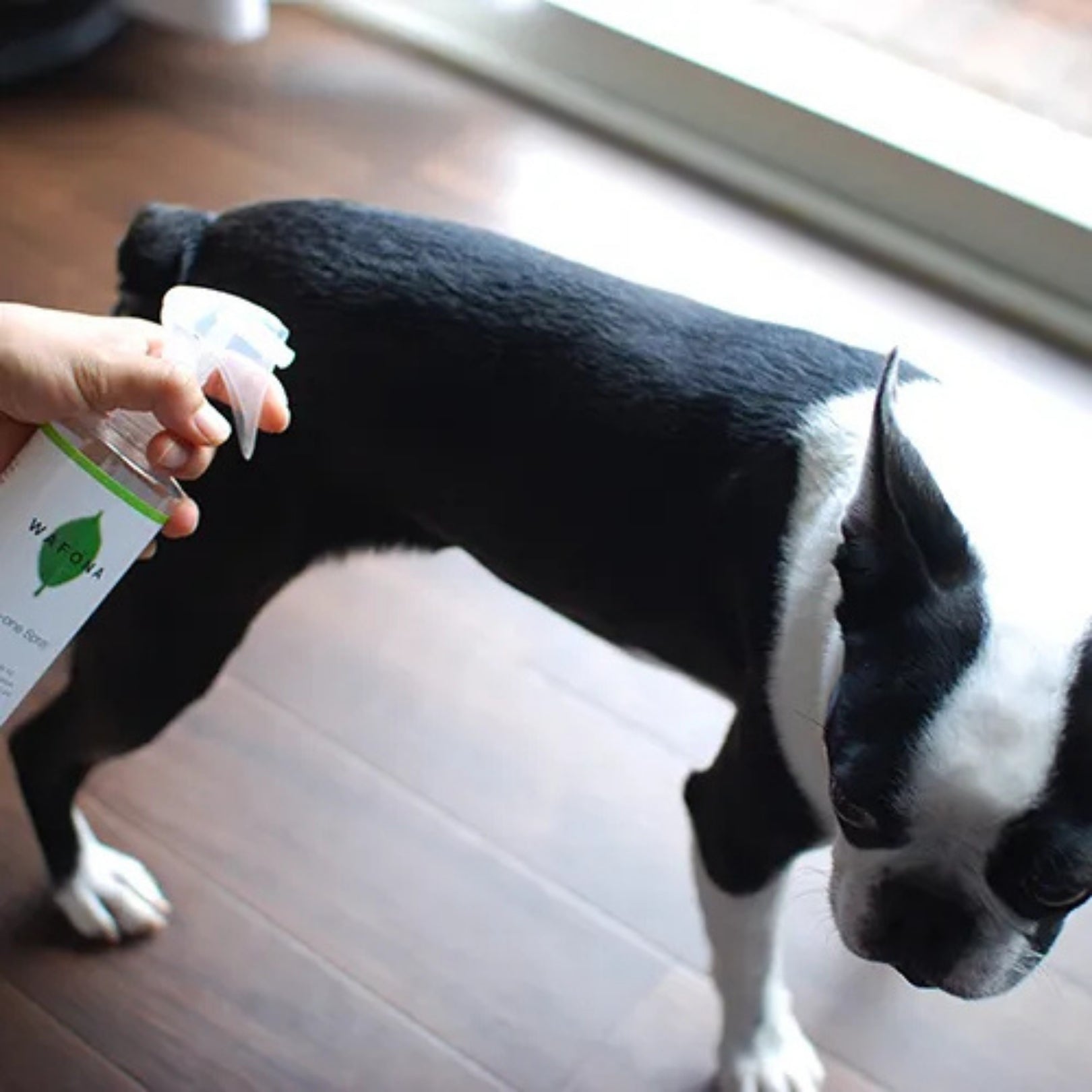 WAFONA - All-in-one Spray for Pet 300ml