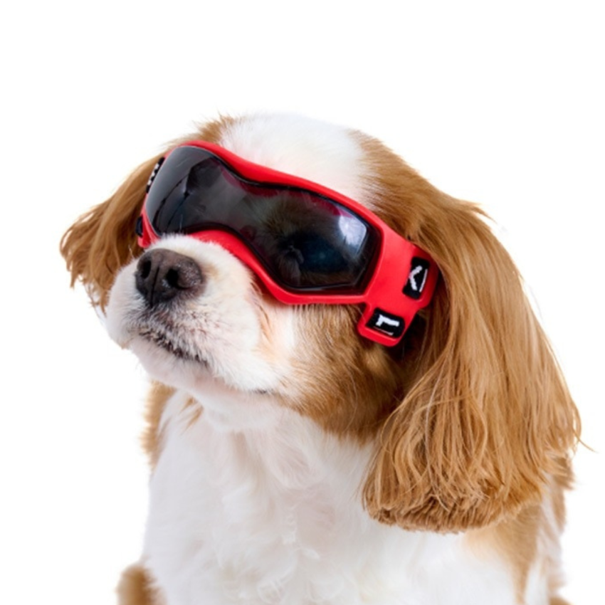 Lifelike - Goggles