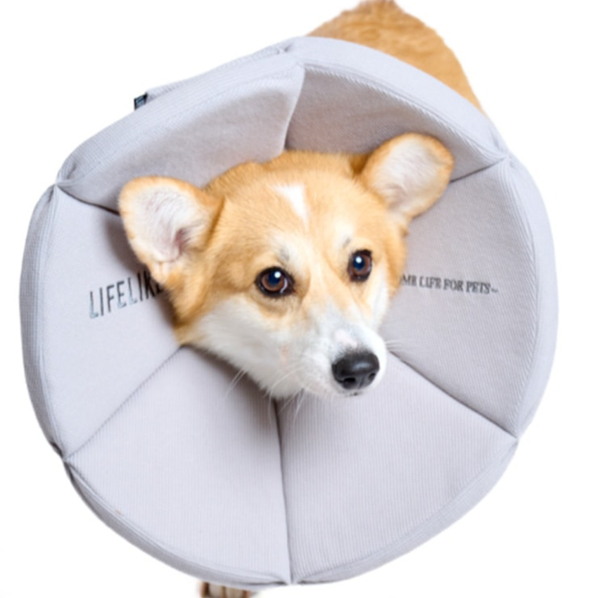 Lifelike - Recovery Collar