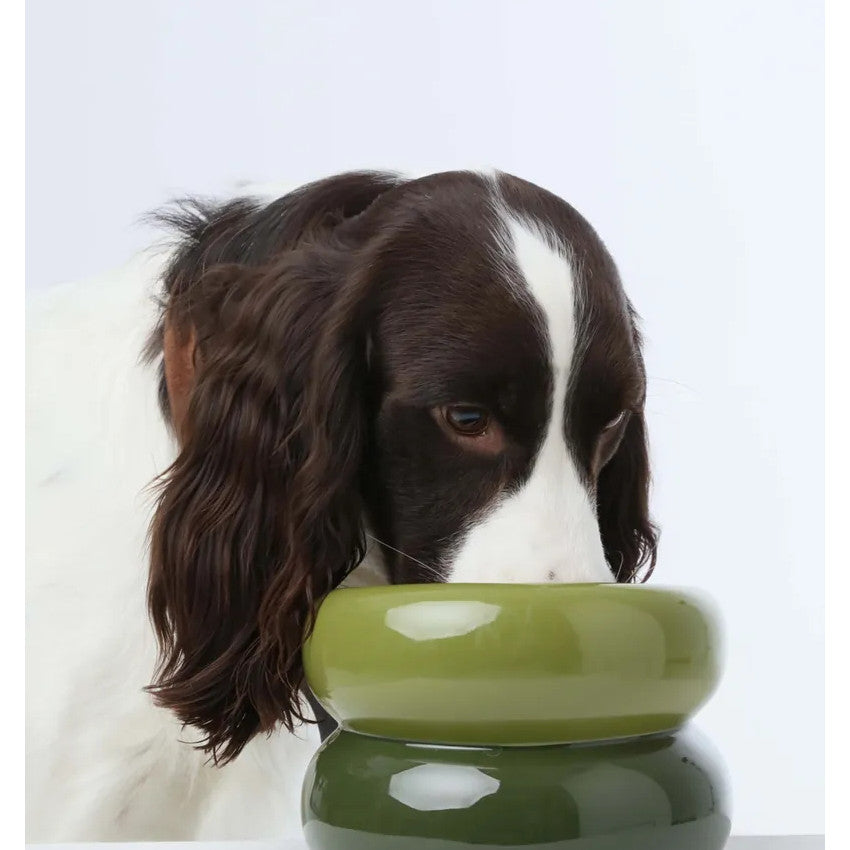 PEHOM - Souffle Pet Bowl - Green