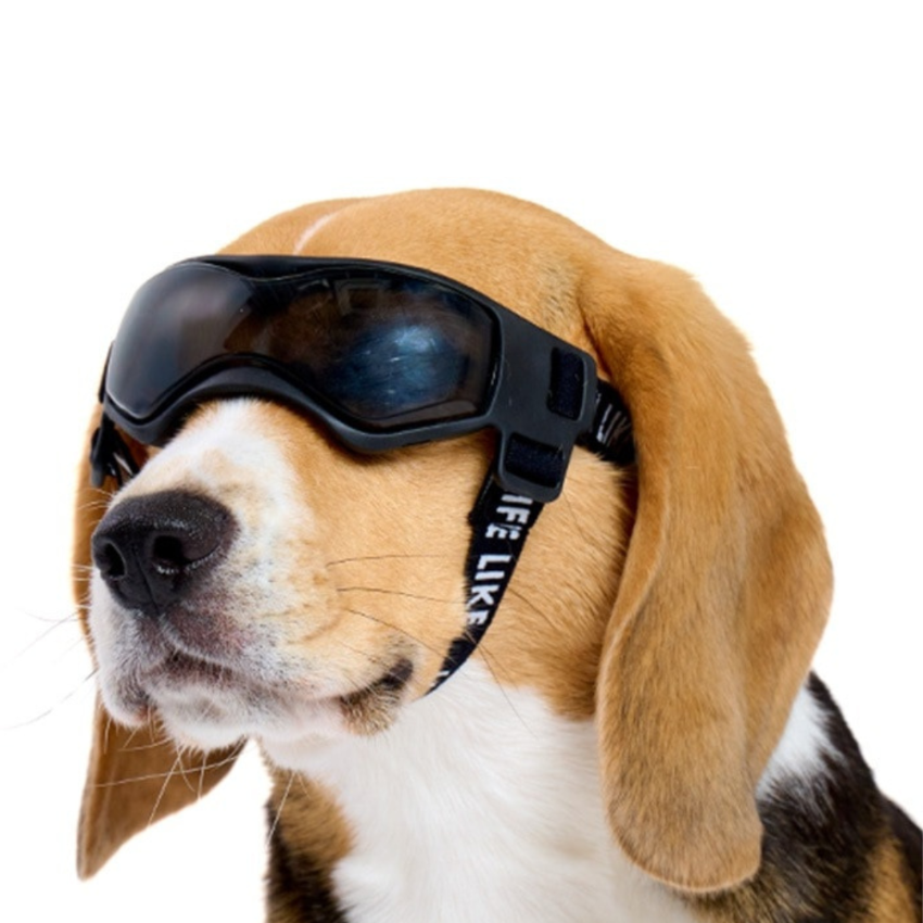 Lifelike - Goggles
