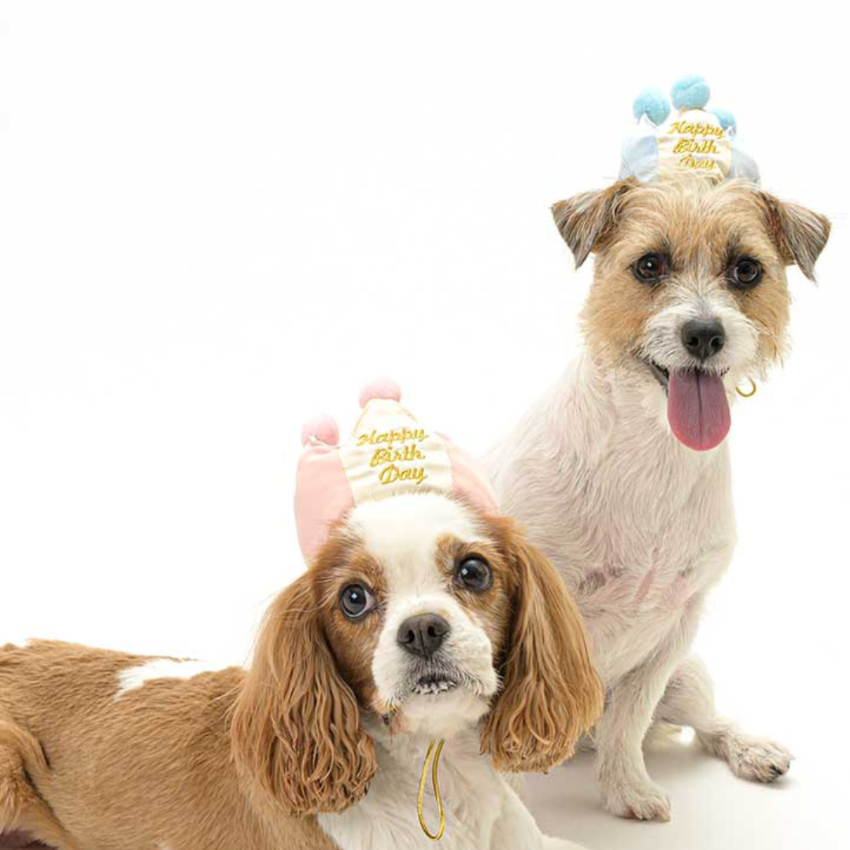Lifelike - Party hat