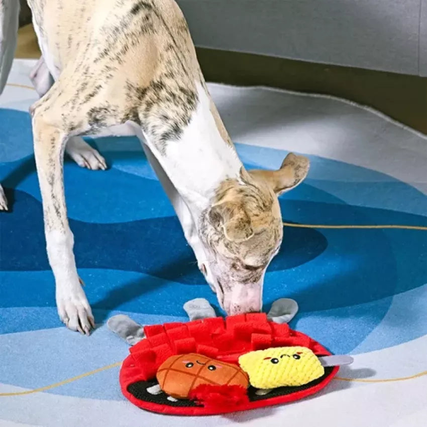 HugSmart － Beach Daze – BBQ Grill Dog Toy