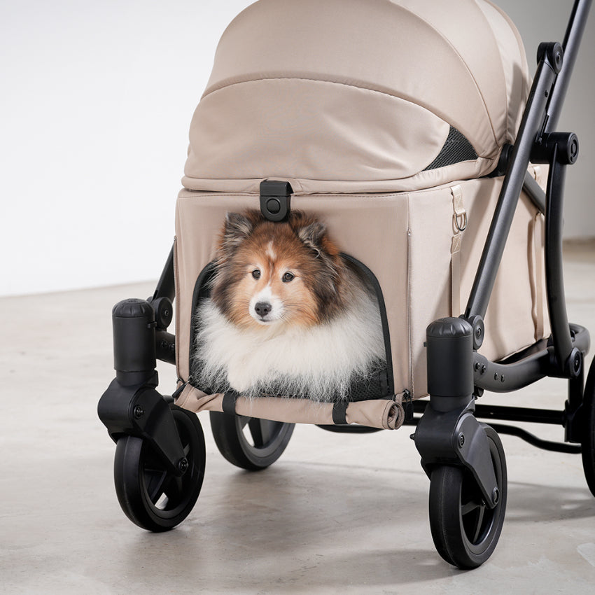 Pompolarr Pet Modu Wagon - Hybrid Detachable Pet Stroller (Black)
