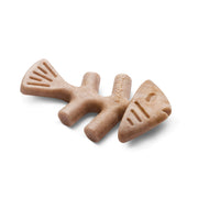 Benebone - Fishbone Durable Dog Chew - Jack Salmon Flavor (Tiny 2-Pack)