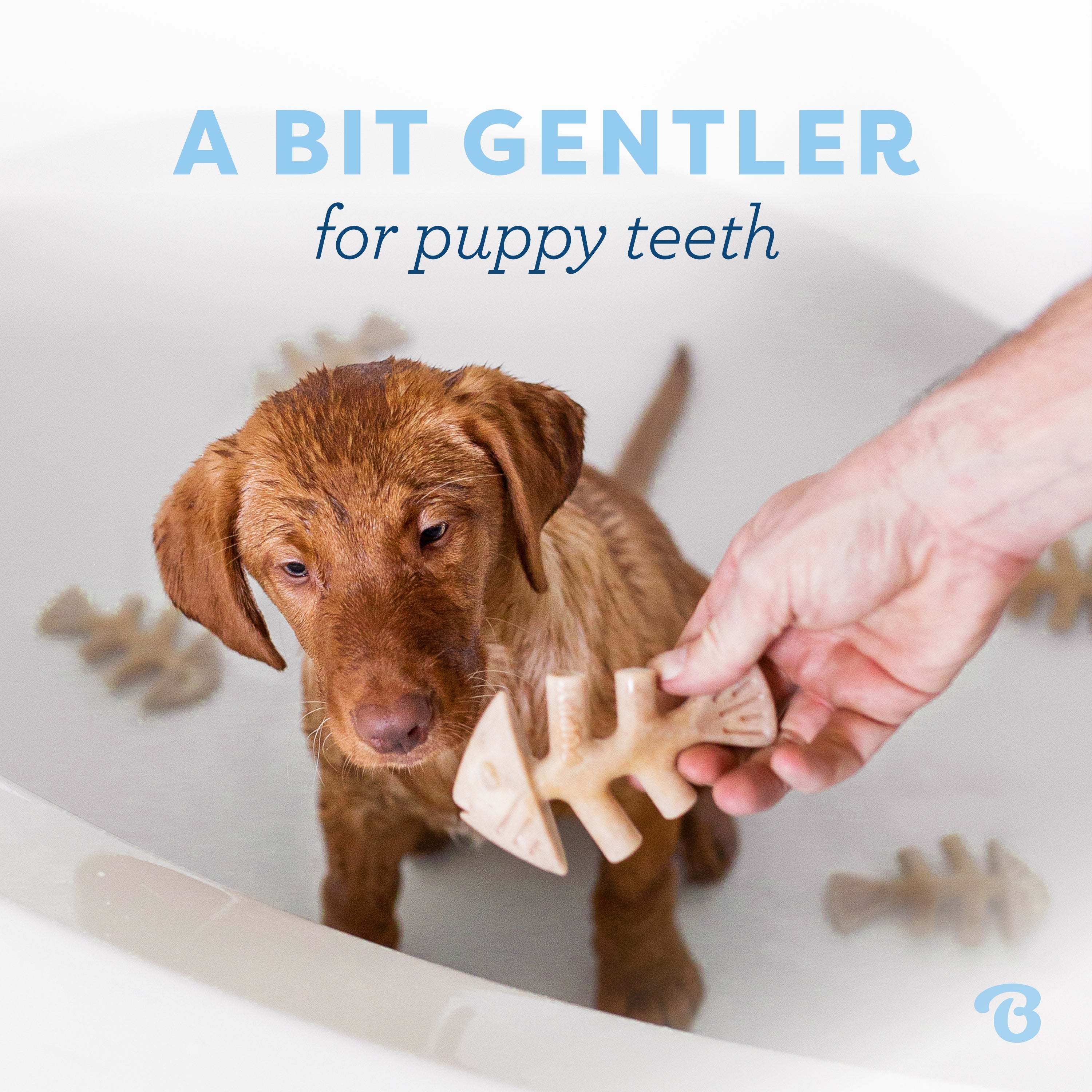Benebone - Fishbone Durable Dog Chew - Jack Salmon Flavor (Tiny 2-Pack)
