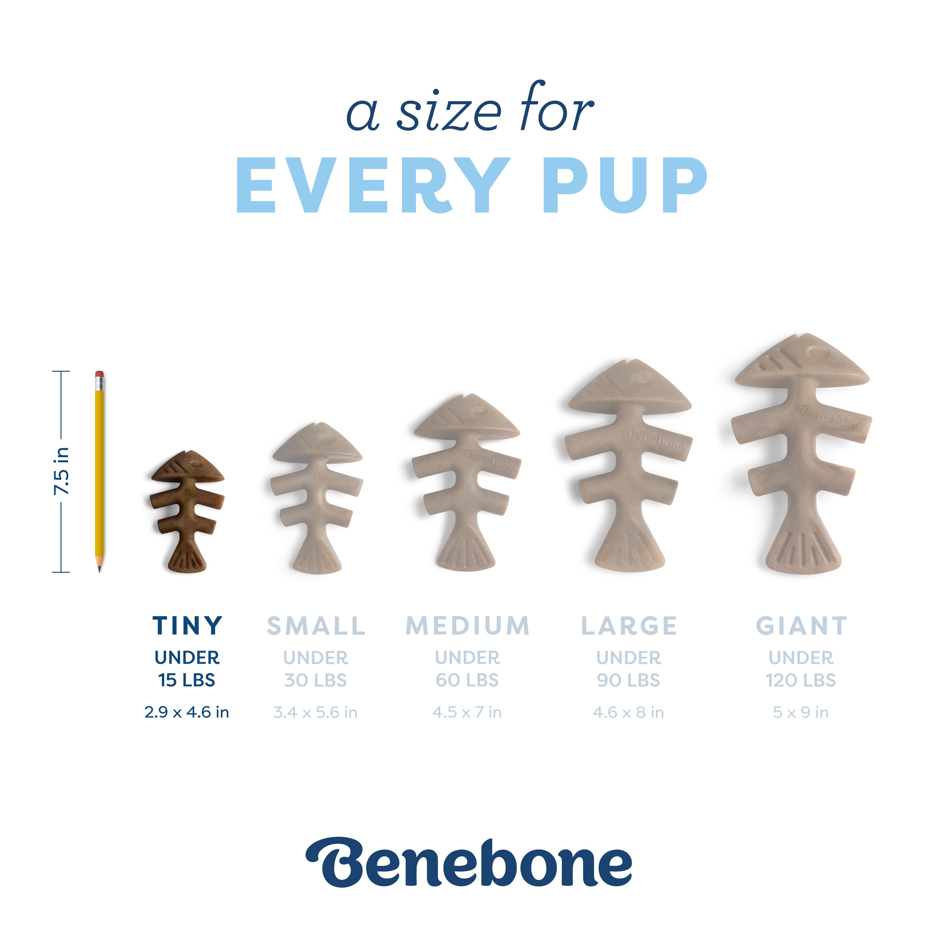 Benebone - Fishbone Durable Dog Chew - Jack Salmon Flavor (Tiny 2-Pack)