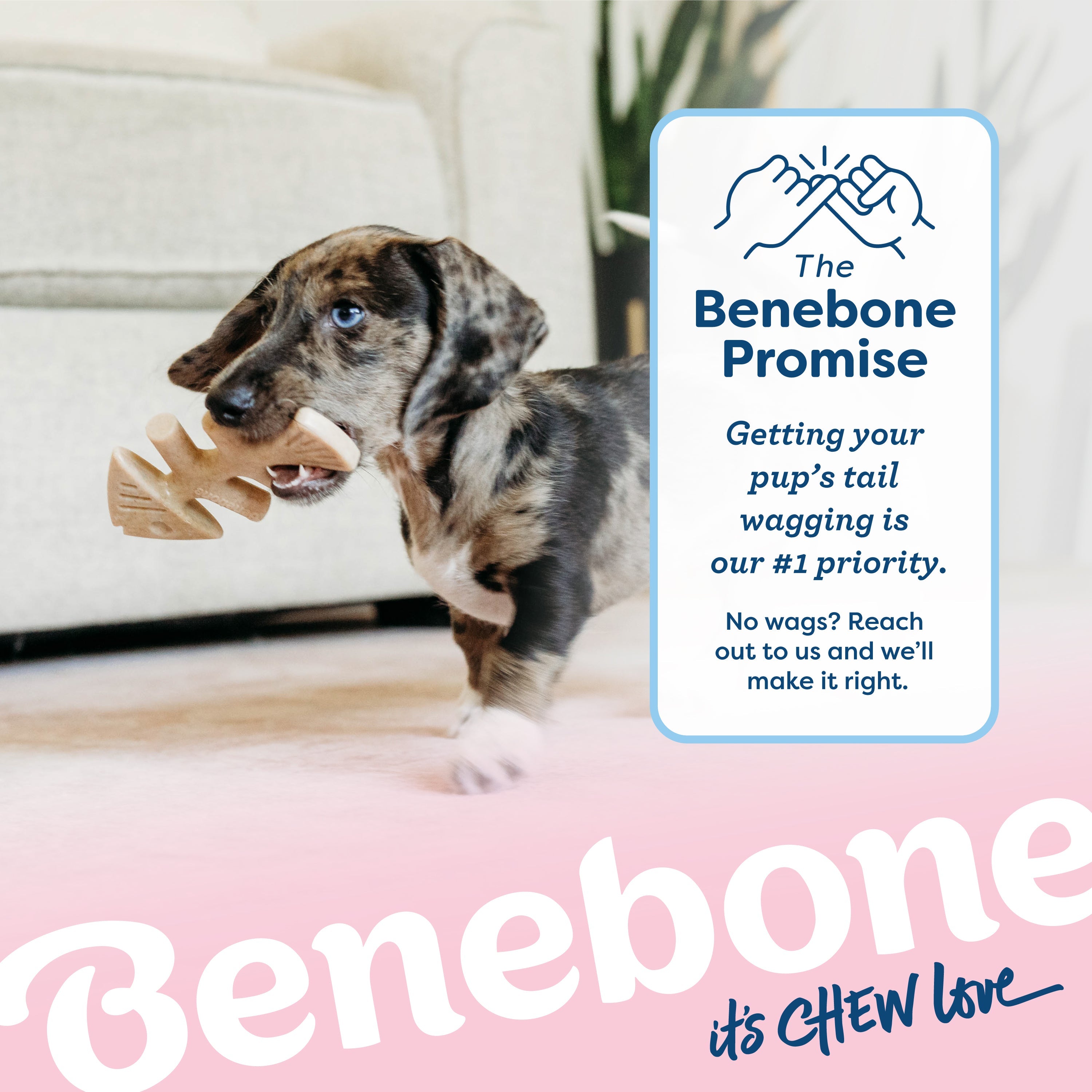 Benebone - Fishbone Durable Dog Chew - Jack Salmon Flavor (Tiny 2-Pack)