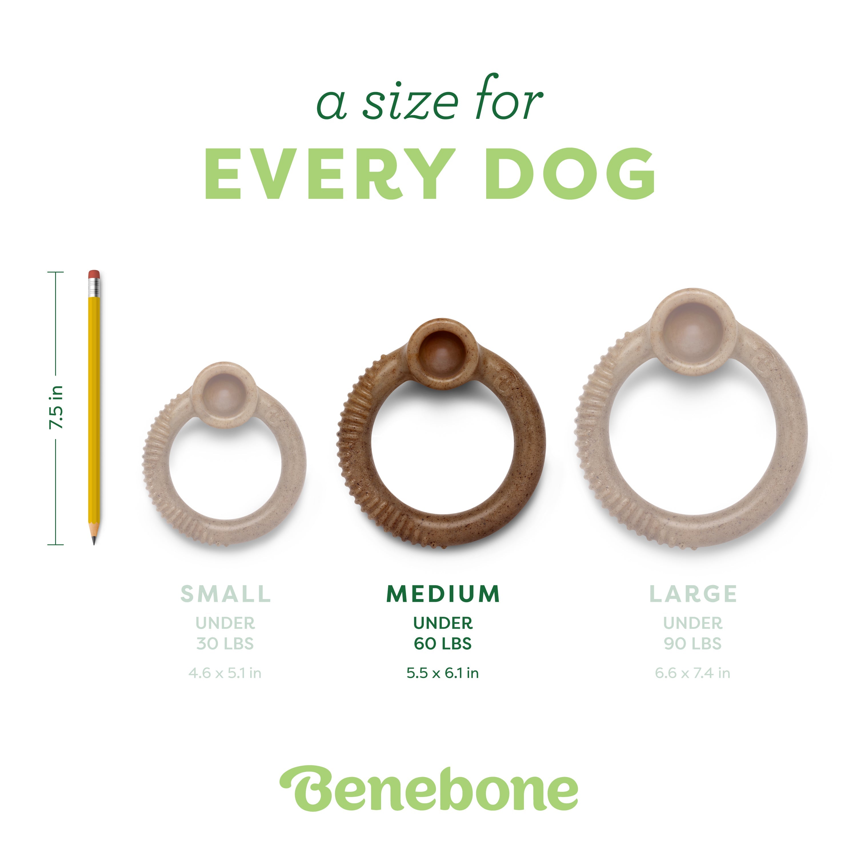 Benebone - Ring Durable Dog Chew - Bacon Flavor (Medium)