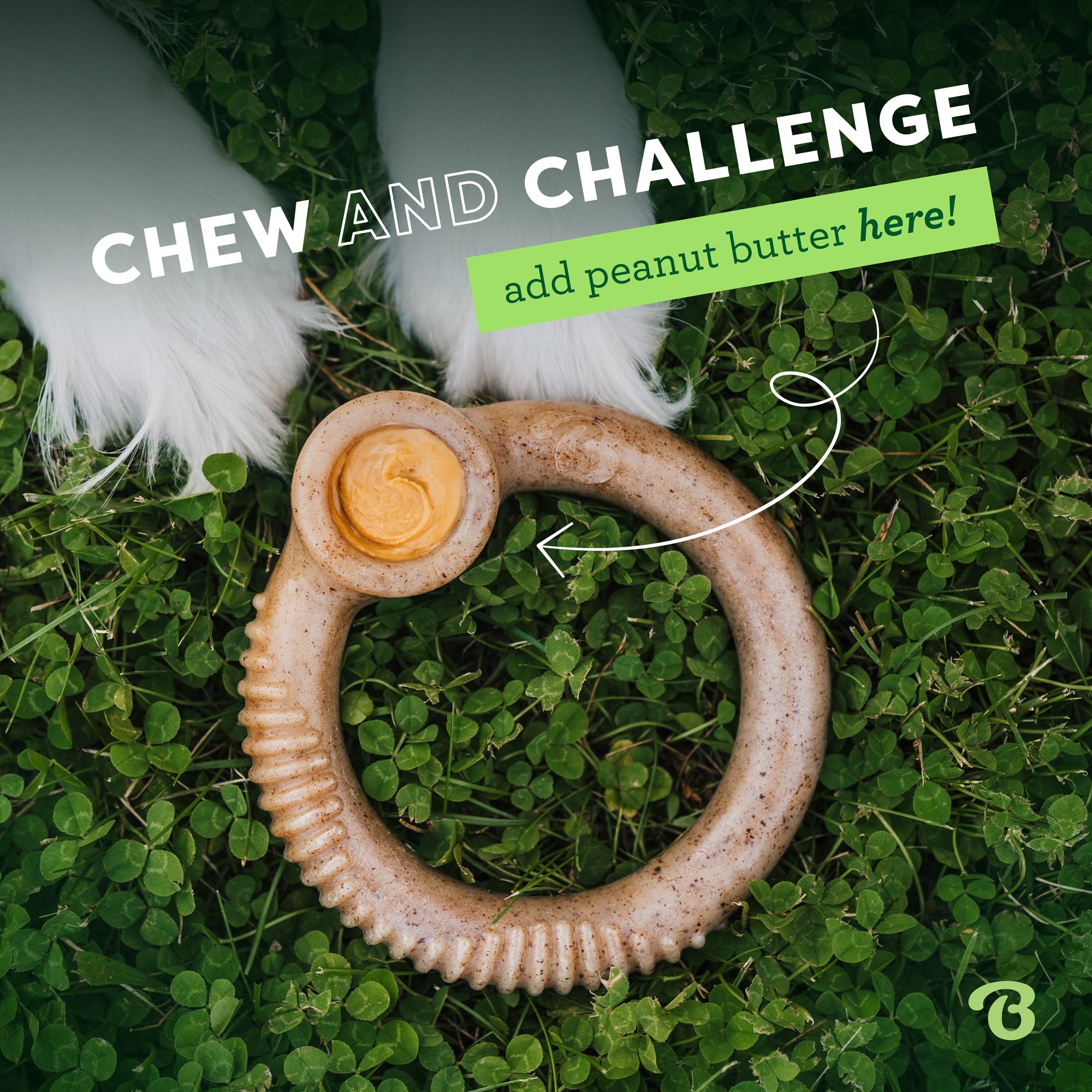 Benebone - Ring Durable Dog Chew - Bacon Flavor (Small)