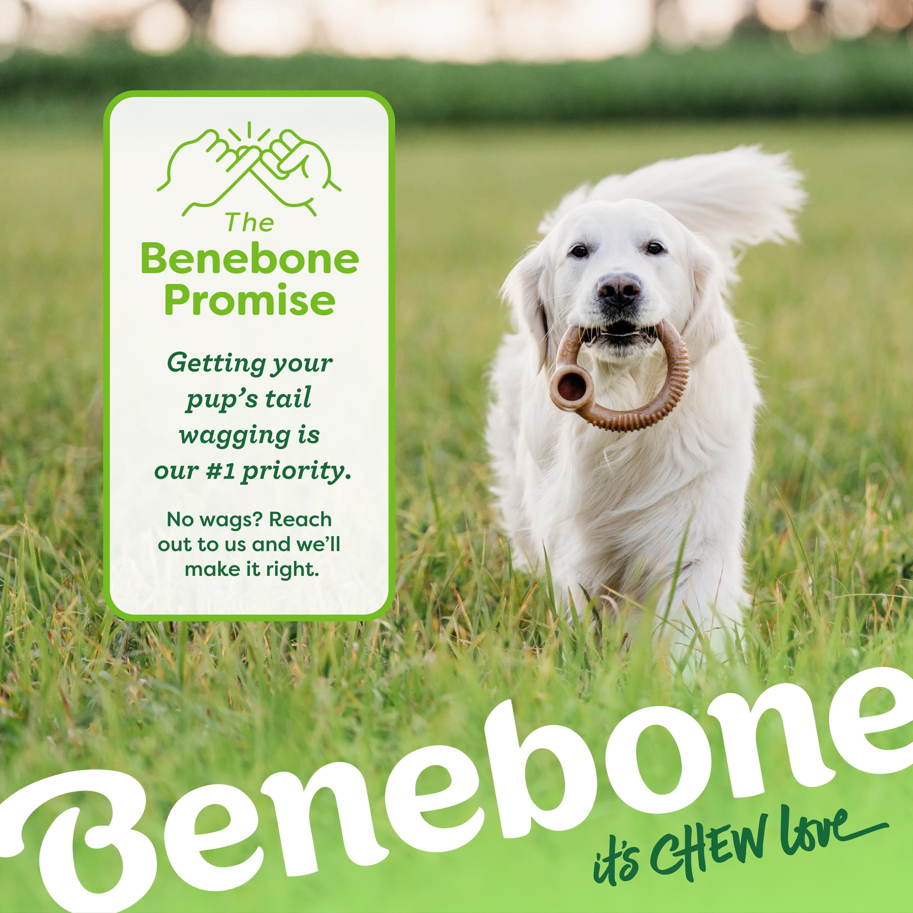 Benebone - 經典環型耐咬玩具 - 煙肉味 (小型)