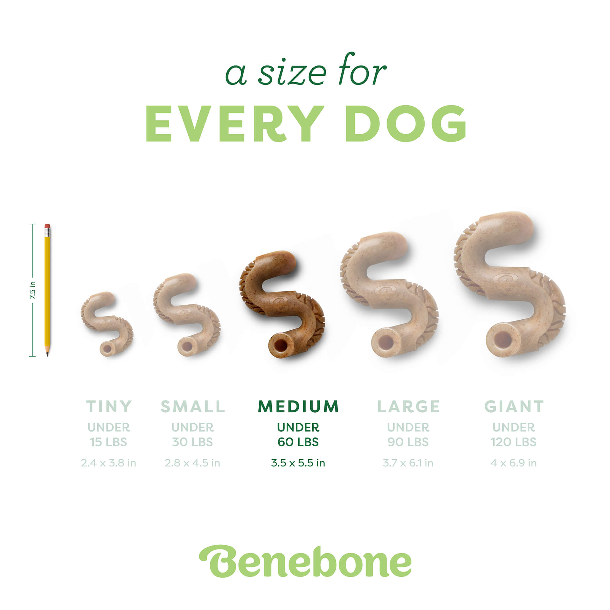 Benebone Tripe Bone Durable Dog Chew - Beef Tripe Flavor (Medium)