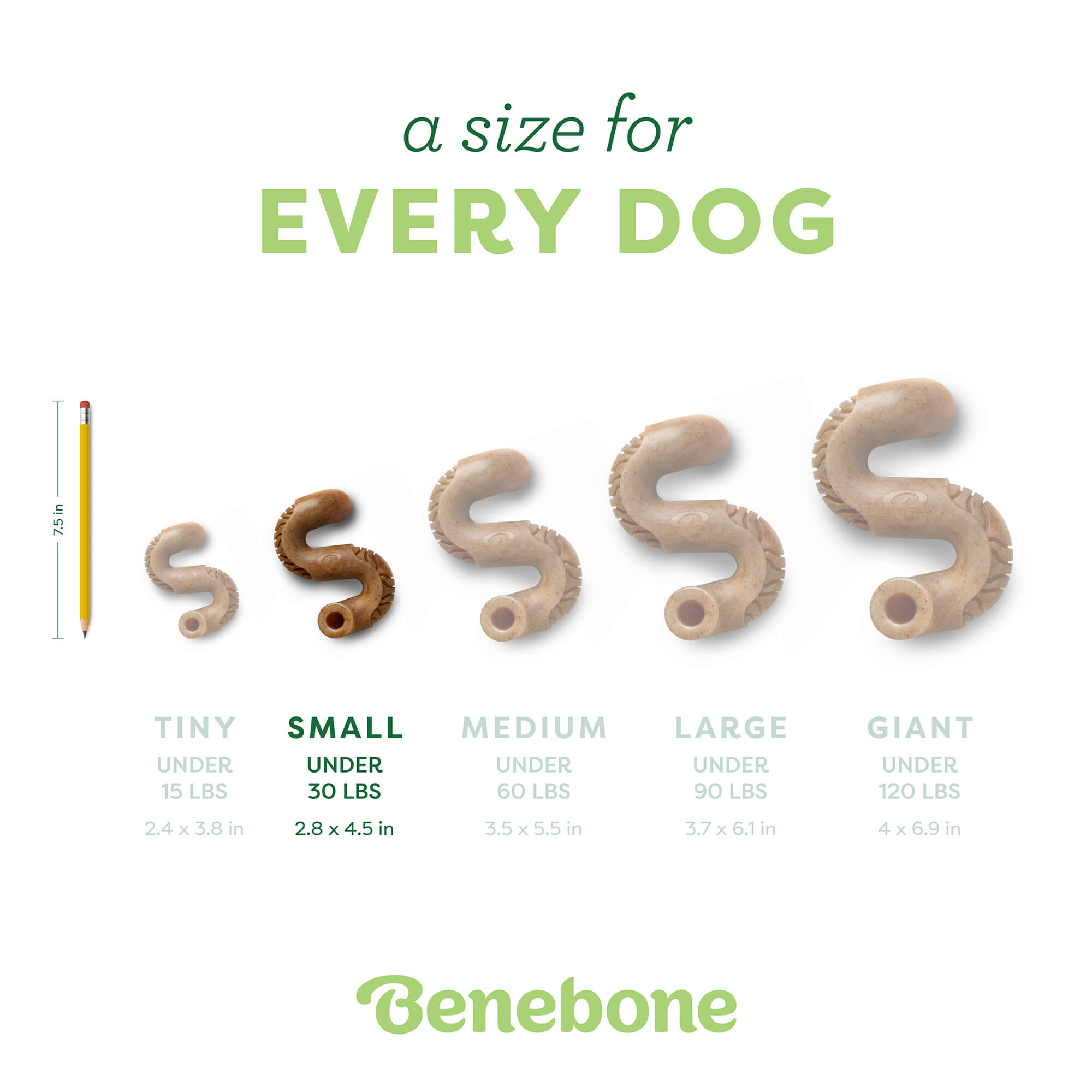 Benebone - Tripe Bone Durable Dog Chew - Beef Tripe Flavor (Small)