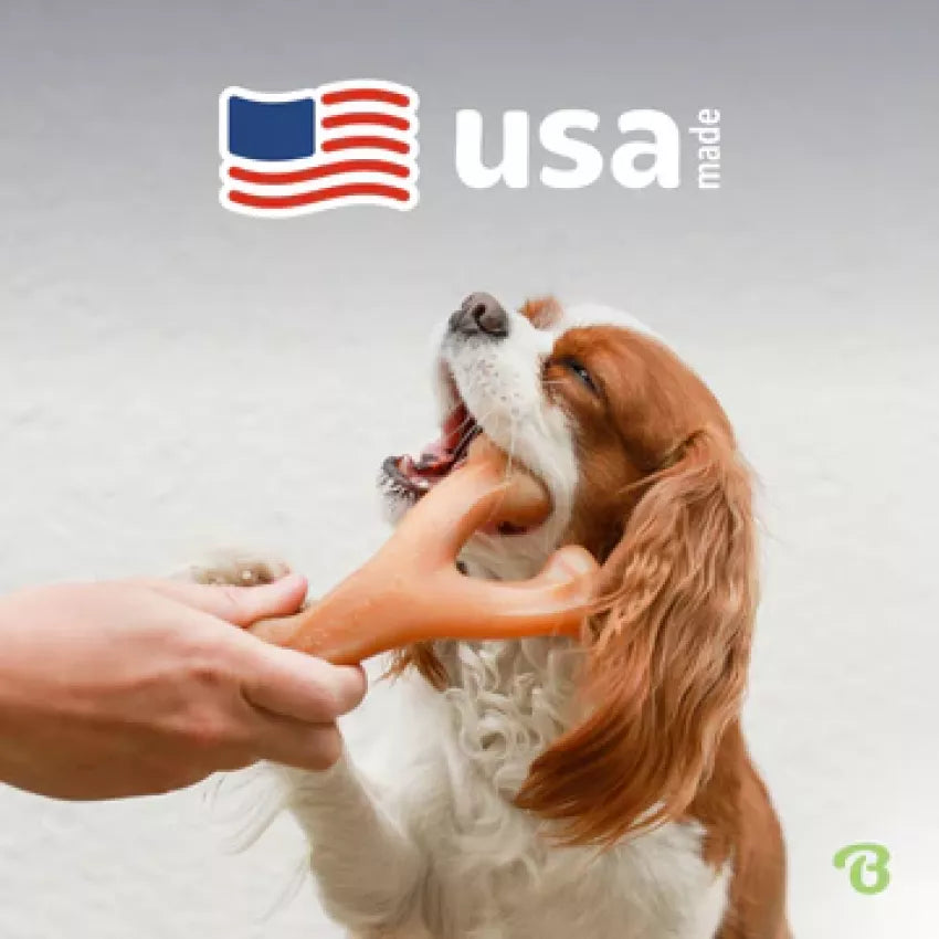 Benebone - Wishbone Durable Dog Chew - Bacon Flavor (Medium)