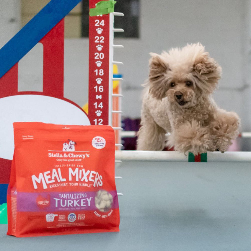 Stella & Chewy's Tantalizing Turkey Meal Mixer (3.5oz)