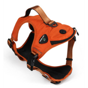 Yukon - Outdoor Harness - Orange