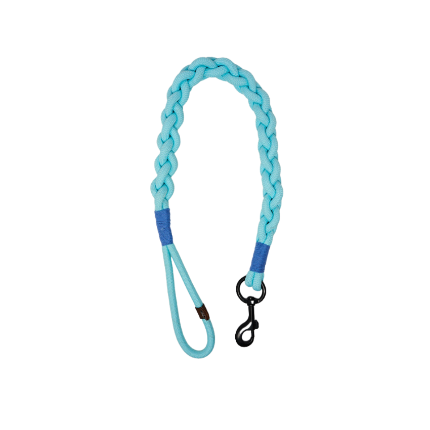 Sydney & Co. Twist Leash - Blue