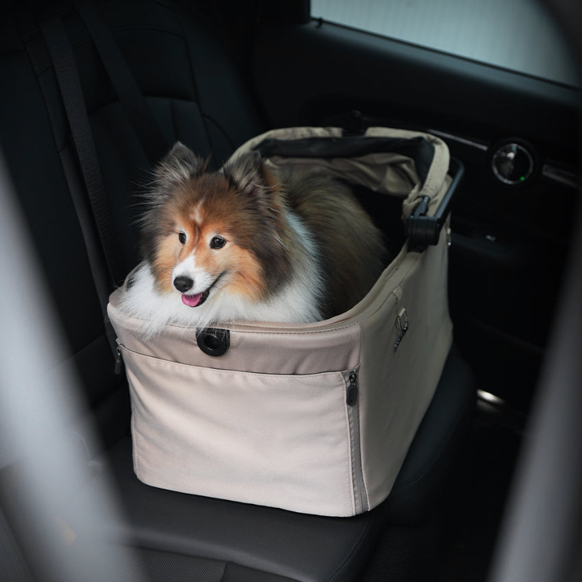 Pompolarr Pet Modu Wagon - Hybrid Detachable Pet Stroller (Black)