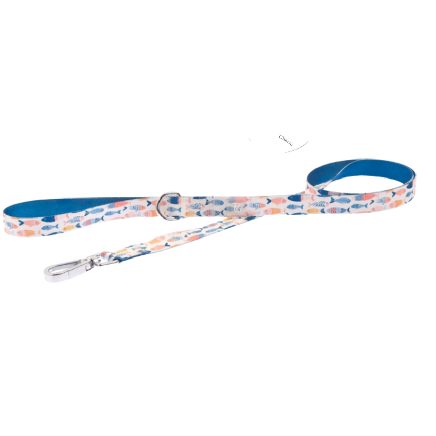 Ferribiella Leash - Pinna Pattern