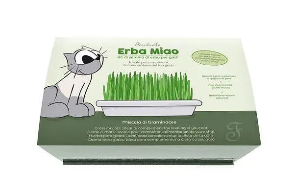 FERRIBIELLA CAT-GRASS