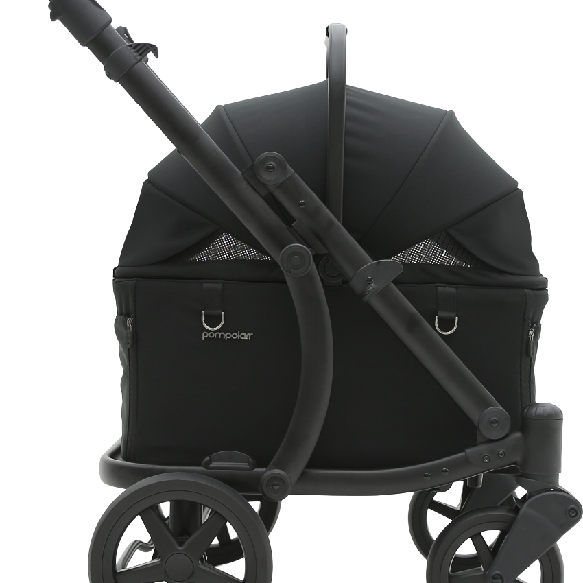 Pompolarr Pet Modu Wagon - Hybrid Detachable Pet Stroller (Black)