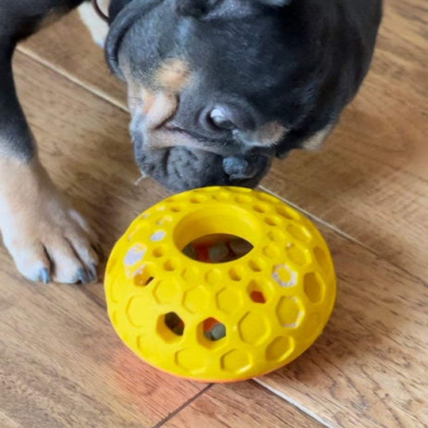 Tall Tails - Rubber Toy - Natural Rubber Hive Toy